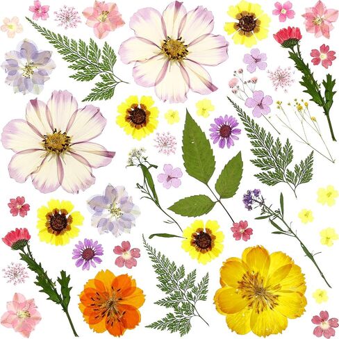 8 Sets Dried Flower Mini Dried Flowers Dried Flowers for Nails for DIY Candle Resin Jewelry Nail Pendant Crafts Making Art Floral Decors in Saudi Arabia