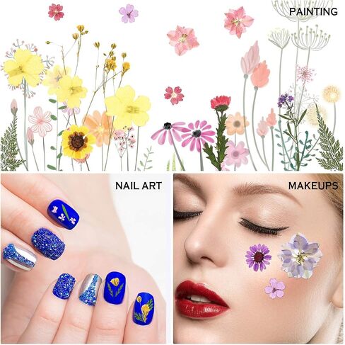 8 Sets Dried Flower Mini Dried Flowers Dried Flowers for Nails for DIY Candle Resin Jewelry Nail Pendant Crafts Making Art Floral Decors in Saudi Arabia