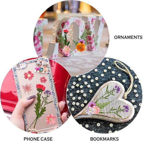 8 Sets Dried Flower Mini Dried Flowers Dried Flowers for Nails for DIY Candle Resin Jewelry Nail Pendant Crafts Making Art Floral Decors in Saudi Arabia