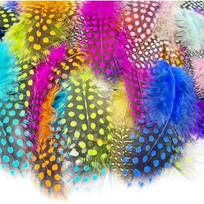 100pcs 3"-6" Natural Color Spotted Feathers Guinea Pheasant Feather for Crafts Dream Catcher Jewelry Decoration, Colored Turkey Chicken Plume Feathers