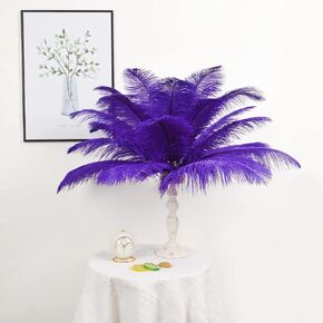 Bseash Natural Ostrich Feathers Bulk 16-18 inches (40-45cm) for Wedding Party Centerpieces, Flower Arrangement and Home Decoration (Black 10pcs)