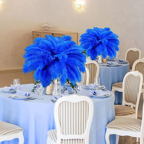 Tigeen 200 Pcs Ostrich Feathers Bulk, 12-14 Inch Large Natural Ostrich Feathers Plumes for Wedding Party Centerpieces DIY Crafts Vase Decorations (Black) in Kuwait
