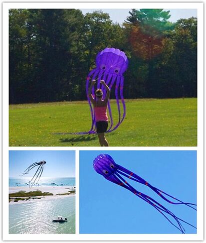 طائرة ورقية من الأخطبوط الكبير 7 إم مع مقبض وخيط ومرح، حديقة الشاطئ في الهواء الطلق in Kuwait