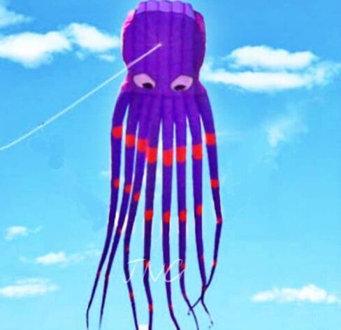 طائرة ورقية من الأخطبوط الكبير 7 إم مع مقبض وخيط ومرح، حديقة الشاطئ في الهواء الطلق in Kuwait