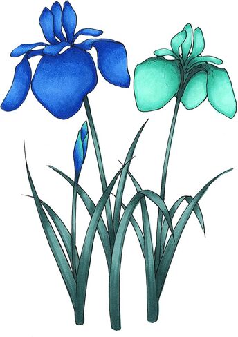 Copic Sketch, Alcohol Markers, 6pc Set, Portrait in Kuwait