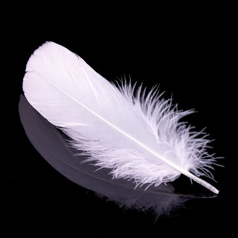 AWAYTR 100 Pcs Nature Goose Feathers for DIY Craft Wedding Home Party Decorations (Light Pink) in Kuwait