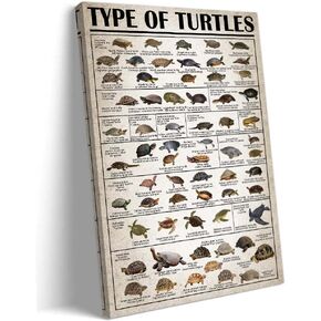 Crystal Wall art Gemstone Meanings Framed Canvas Prints Vintage Gemstone Knowledge Chart Wall Decor Pictures Educational Posters Painting Framed 12x18 inch in Kuwait