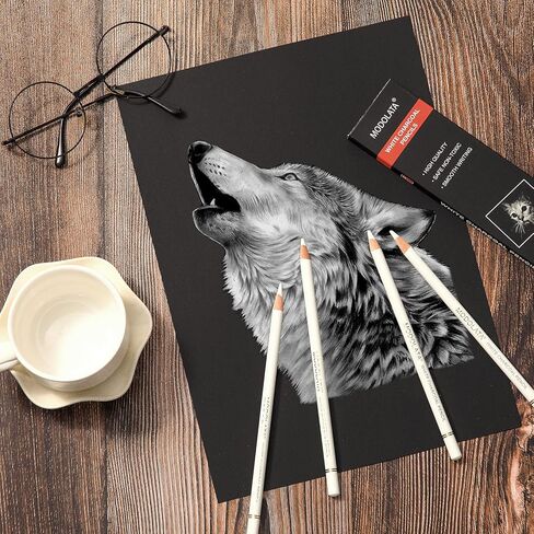 أقلام رصاص الفحم الأبيض للفنان، مجموعة من 6 أقلام رسم بيضاء للرسومات التوضيحية والتظليل والمزج والرسم والورق الأسود in Kuwait