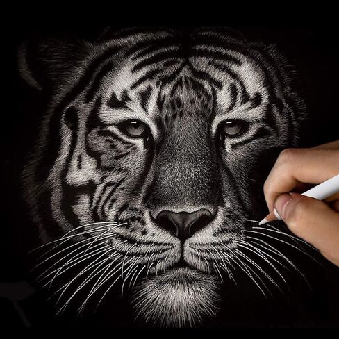 أقلام رصاص الفحم الأبيض للفنان، مجموعة من 6 أقلام رسم بيضاء للرسومات التوضيحية والتظليل والمزج والرسم والورق الأسود in Kuwait