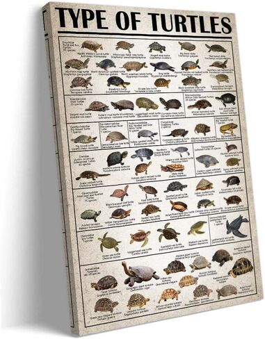 Crystal Wall art Gemstone Meanings Framed Canvas Prints Vintage Gemstone Knowledge Chart Wall Decor Pictures Educational Posters Painting Framed 12x18 inch in Kuwait