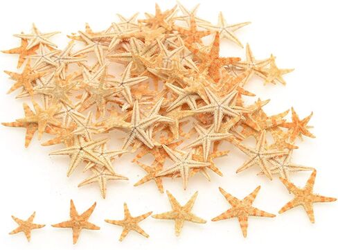 TIHOOD 0.4"-1.2" Small Starfish Star Sea Shell Beach Crafts Decor (Blue) in Kuwait
