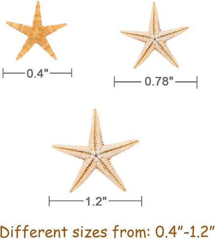 TIHOOD 0.4"-1.2" Small Starfish Star Sea Shell Beach Crafts Decor (Blue) in Kuwait