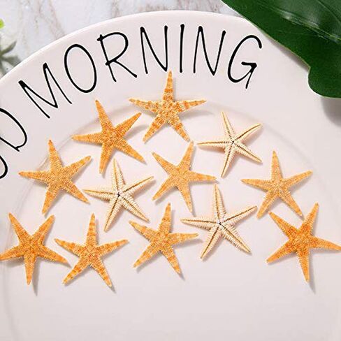 TIHOOD 0.4"-1.2" Small Starfish Star Sea Shell Beach Crafts Decor (Blue) in Kuwait