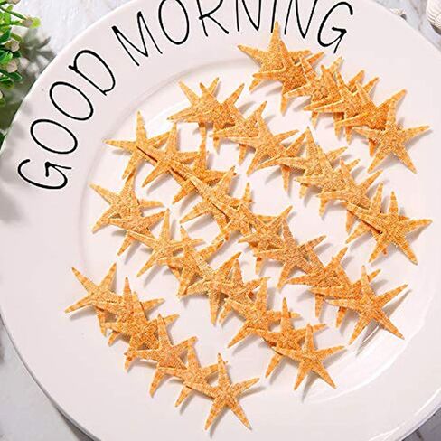 TIHOOD 0.4"-1.2" Small Starfish Star Sea Shell Beach Crafts Decor (Blue) in Kuwait