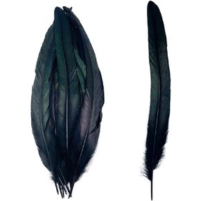 50pcs 13-16 Inches Long Natural Rooster Coque Tail Feathers for Hat Costume Decoration Crafts (Black)