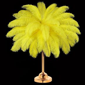 30 Pcs Large Natural Ostrich Feathers Bulk 16-18 Inch for Centerpieces for Wedding Party Centerpieces Home Decoration Flower Arrangement (Black) in Kuwait