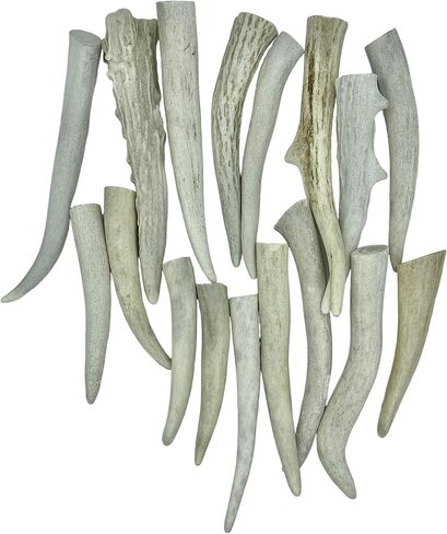 نصائح Deer Valley Antler - مجموعة من 10 نقاط مصقولة مستوحاة من أمريكا الأصلية (طولها 3-5 بوصات) للمجوهرات التقليدية وسلاسل المفاتيح (مثالية لديكور المنزل والحرف اليدوية الأصلية) (بني طبيعي) in Kuwait