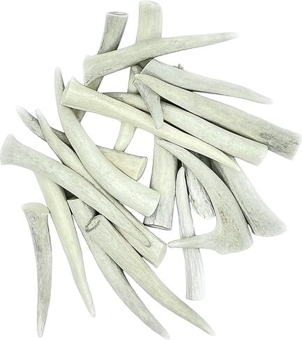 نصائح Deer Valley Antler - مجموعة من 10 نقاط مصقولة مستوحاة من أمريكا الأصلية (طولها 3-5 بوصات) للمجوهرات التقليدية وسلاسل المفاتيح (مثالية لديكور المنزل والحرف اليدوية الأصلية) (بني طبيعي) in Kuwait