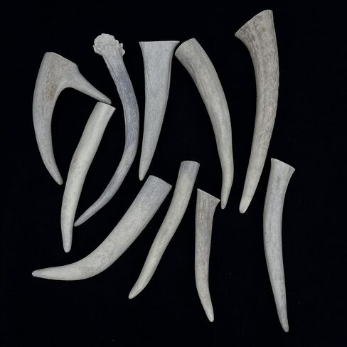 نصائح Deer Valley Antler - مجموعة من 10 نقاط مصقولة مستوحاة من أمريكا الأصلية (طولها 3-5 بوصات) للمجوهرات التقليدية وسلاسل المفاتيح (مثالية لديكور المنزل والحرف اليدوية الأصلية) (بني طبيعي) in Kuwait