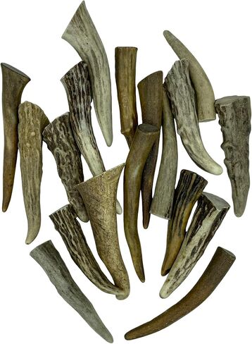 نصائح Deer Valley Antler - مجموعة من 10 نقاط مصقولة مستوحاة من أمريكا الأصلية (طولها 3-5 بوصات) للمجوهرات التقليدية وسلاسل المفاتيح (مثالية لديكور المنزل والحرف اليدوية الأصلية) (بني طبيعي) in Kuwait