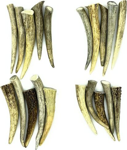 نصائح Deer Valley Antler - مجموعة من 10 نقاط مصقولة مستوحاة من أمريكا الأصلية (طولها 3-5 بوصات) للمجوهرات التقليدية وسلاسل المفاتيح (مثالية لديكور المنزل والحرف اليدوية الأصلية) (بني طبيعي) in Kuwait