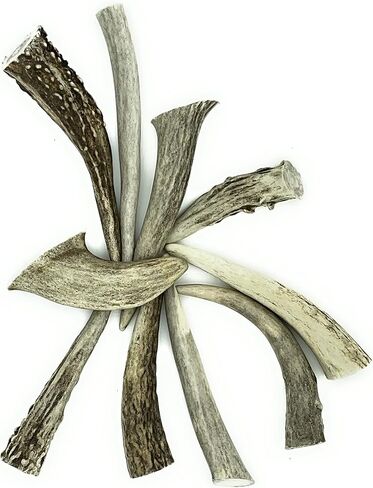 نصائح Deer Valley Antler - مجموعة من 10 نقاط مصقولة مستوحاة من أمريكا الأصلية (طولها 3-5 بوصات) للمجوهرات التقليدية وسلاسل المفاتيح (مثالية لديكور المنزل والحرف اليدوية الأصلية) (بني طبيعي) in Kuwait