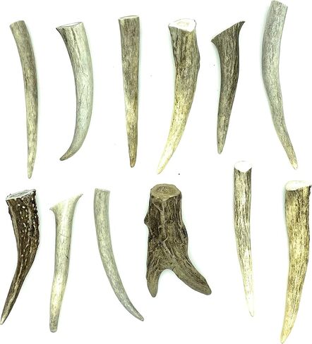 نصائح Deer Valley Antler - مجموعة من 10 نقاط مصقولة مستوحاة من أمريكا الأصلية (طولها 3-5 بوصات) للمجوهرات التقليدية وسلاسل المفاتيح (مثالية لديكور المنزل والحرف اليدوية الأصلية) (بني طبيعي) in Kuwait