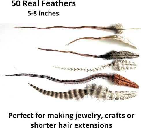 ريش ديك حقيقي قصير، أشيب مخطط، 50 وصلة شعر ريش أو حرف يدوية، 5-8 بوصات بني، أسود أبيض مخطط أشيب زغب طبيعي in Kuwait