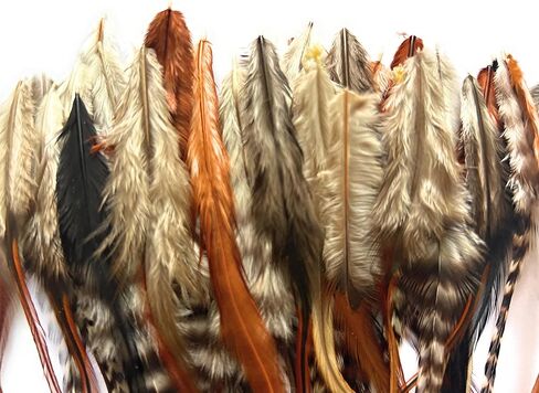 ريش ديك حقيقي قصير، أشيب مخطط، 50 وصلة شعر ريش أو حرف يدوية، 5-8 بوصات بني، أسود أبيض مخطط أشيب زغب طبيعي in Kuwait