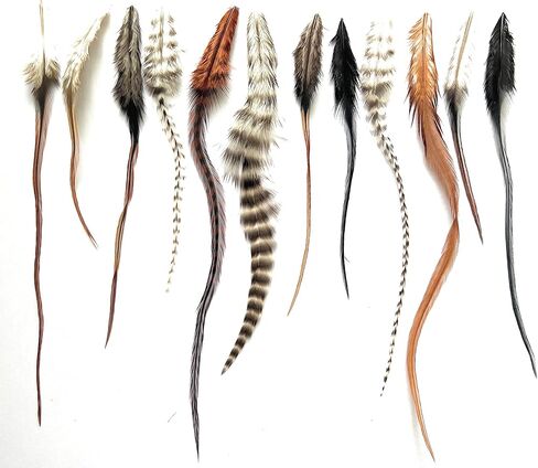 ريش ديك حقيقي قصير، أشيب مخطط، 50 وصلة شعر ريش أو حرف يدوية، 5-8 بوصات بني، أسود أبيض مخطط أشيب زغب طبيعي in Kuwait