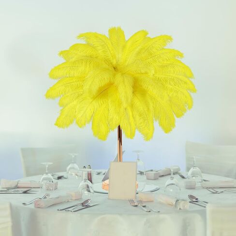 30 Pcs Large Natural Ostrich Feathers Bulk 16-18 Inch for Centerpieces for Wedding Party Centerpieces Home Decoration Flower Arrangement (Black) in Kuwait