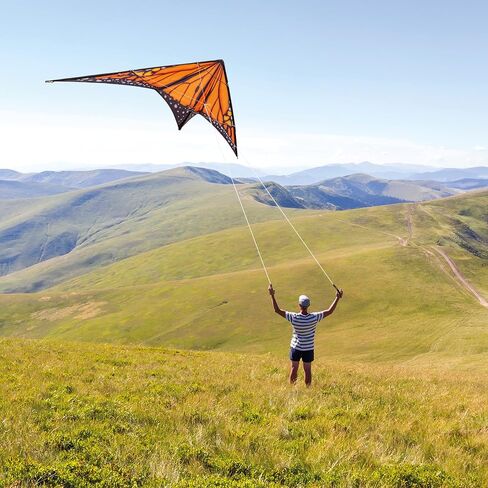 paleonEarth Mk2 Dual-line Stunt Kite with a 90 Inch Wingspan in Saudi Arabia