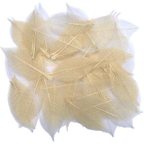 100 لون بني طبيعي، بدون طلاء. هيكل عظمي اوراق الشجر المطاطية الطبيعية سجل القصاصات الحرفية اليدوية بطاقات الزفاف، اوراق كبيرة in Kuwait
