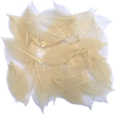100 لون بني طبيعي، بدون طلاء. هيكل عظمي اوراق الشجر المطاطية الطبيعية سجل القصاصات الحرفية اليدوية بطاقات الزفاف، اوراق كبيرة in Kuwait