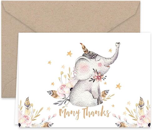 بطاقات ملاحظات من Paper Frenzy Woodland Animals شكرًا لك وأظرف كرافت، 24 حزمة in Kuwait