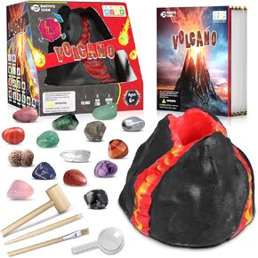 EARTH'SCODE Ocean Animals Dig Kit, Seashell Excavation Dig Bricks, Science Educational Gift for Kids