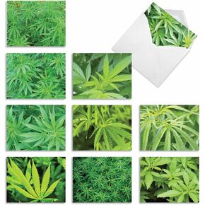 The Best Card Company - 10 Bulk All Occasion Note Cards (4 x 5.12 Inch) - Blank Assorted Cards Set, Nature Plants and Gardens - High Notes M3059