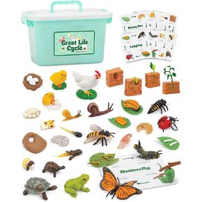 Life Cycle Animal Kit - Montessori Science Toy with 24-Piece Matching Game, Butterfly, Frog, Chicken, Bee, Ladybug and Turtle STEM Educational Gift, Easter Basket fillers for Kids Ages 3-8 in Kuwait