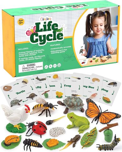 Life Cycle Kit Toy Montessori - Realistic Figurine Toys, Kids Animal Match Set with Frog, Ladybug & Butterfly - Includes 12-Piece, Stocking Stuffers Educational & Fun Learning Game for Children 3+ in Kuwait