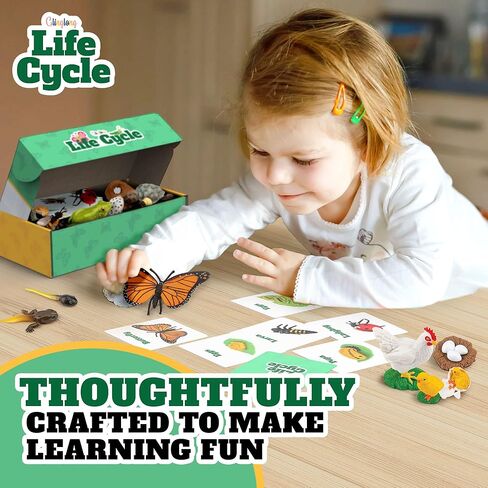 Life Cycle Kit Toy Montessori - Realistic Figurine Toys, Kids Animal Match Set with Frog, Ladybug & Butterfly - Includes 12-Piece, Stocking Stuffers Educational & Fun Learning Game for Children 3+ in Kuwait