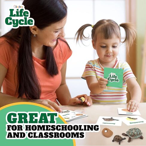 Life Cycle Kit Toy Montessori - Realistic Figurine Toys, Kids Animal Match Set with Frog, Ladybug & Butterfly - Includes 12-Piece, Stocking Stuffers Educational & Fun Learning Game for Children 3+ in Kuwait
