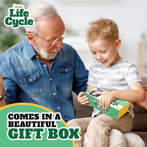 Life Cycle Kit Toy Montessori - Realistic Figurine Toys, Kids Animal Match Set with Frog, Ladybug & Butterfly - Includes 12-Piece, Stocking Stuffers Educational & Fun Learning Game for Children 3+ in Kuwait