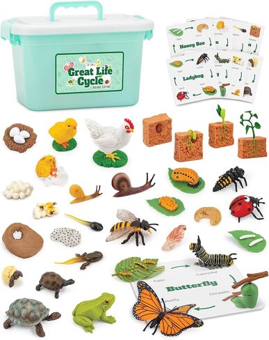 Life Cycle Animal Kit - Montessori Science Toy with 24-Piece Matching Game, Butterfly, Frog, Chicken, Bee, Ladybug and Turtle STEM Educational Gift, Easter Basket fillers for Kids Ages 3-8 in Kuwait