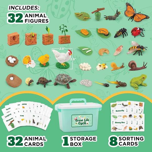 Life Cycle Animal Kit - Montessori Science Toy with 24-Piece Matching Game, Butterfly, Frog, Chicken, Bee, Ladybug and Turtle STEM Educational Gift, Easter Basket fillers for Kids Ages 3-8 in Kuwait