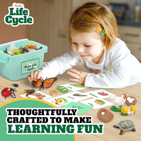 Life Cycle Animal Kit - Montessori Science Toy with 24-Piece Matching Game, Butterfly, Frog, Chicken, Bee, Ladybug and Turtle STEM Educational Gift, Easter Basket fillers for Kids Ages 3-8 in Kuwait