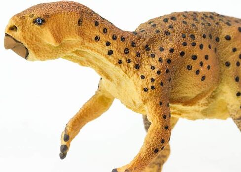 Safari Ltd. Wild Safari Prehistoric World Psittacosaurus Figurine - Detailed 5.25" Plastic Model Figure - Fun Educational Play Toy for Boys, Girls & Kids Ages 3+ in Saudi Arabia
