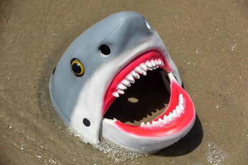 Adult Shark Mask - Shark Head Moving Mouth Mask - Under The Sea Halloween Mascot Animal Costume Accessory - Gray, Adjustable in Saudi Arabia