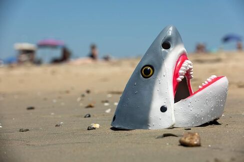 Adult Shark Mask - Shark Head Moving Mouth Mask - Under The Sea Halloween Mascot Animal Costume Accessory - Gray, Adjustable in Saudi Arabia