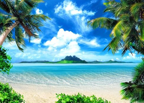 Summer Theme Photo Ocean Blue Sky Seaside Tropical Palm Trees Luau Birthday Party Decor Banner 82x60in in Saudi Arabia
