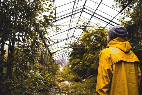 فايبر فيكس رقعة مرنة - مجموعة من 3 رقع - 3 مقاسات in Kuwait